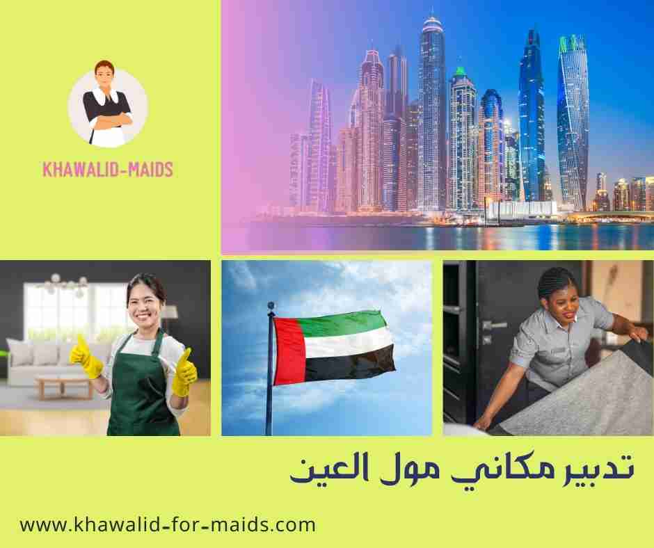 تدبير مكاني مول العين