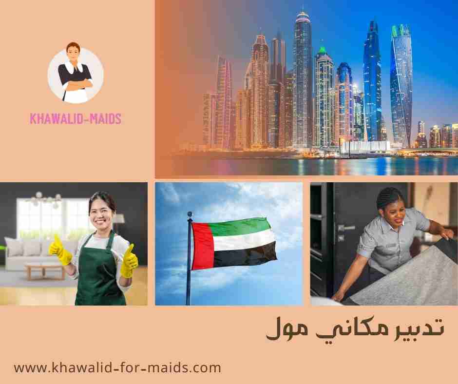 تدبير مكاني مول