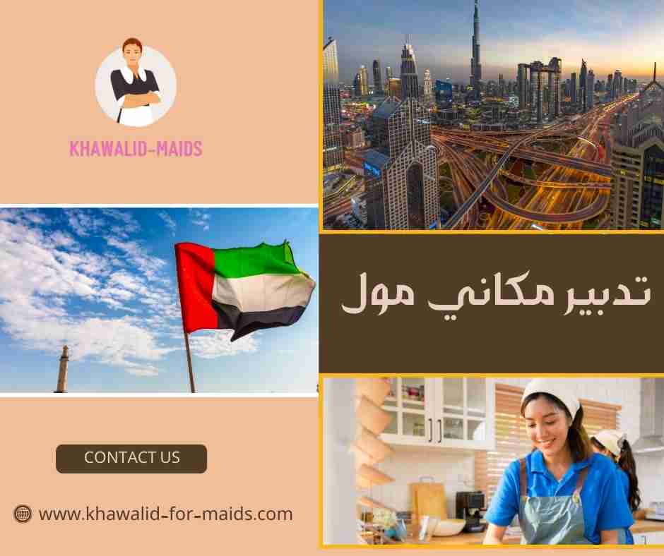 تدبير مكاني مول