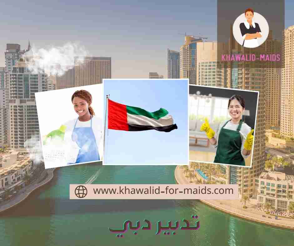 تدبير دبي