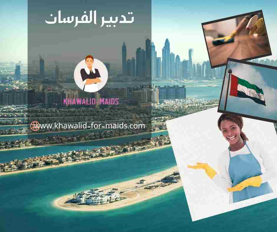 تدبير الفرسان