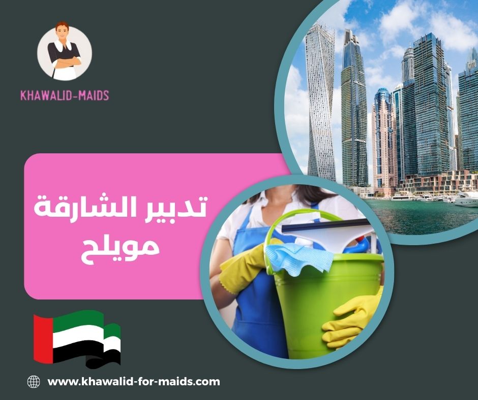 تدبير شارع مليحه تدبير شارع مليحه