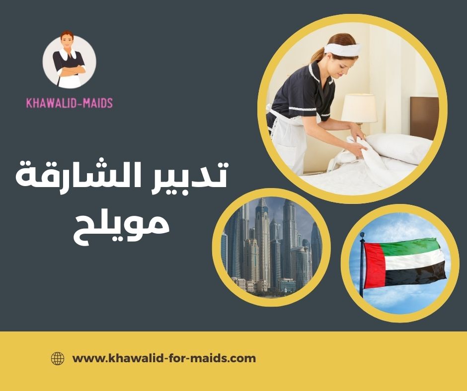 تدبير مويلح تدبير مويلح