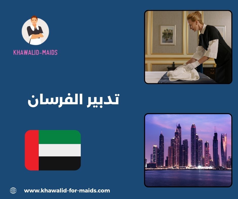 تدبير الفرسان مدينة خليفة