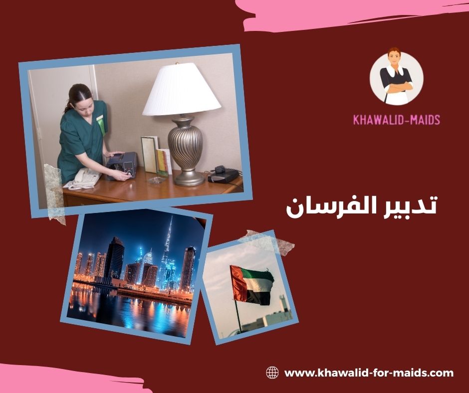 تدبير الفرسان مول