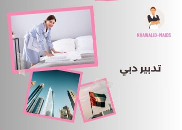 تدبير دبي